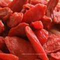 rote Ningxia Goji Berry chinesische Medlar Samen